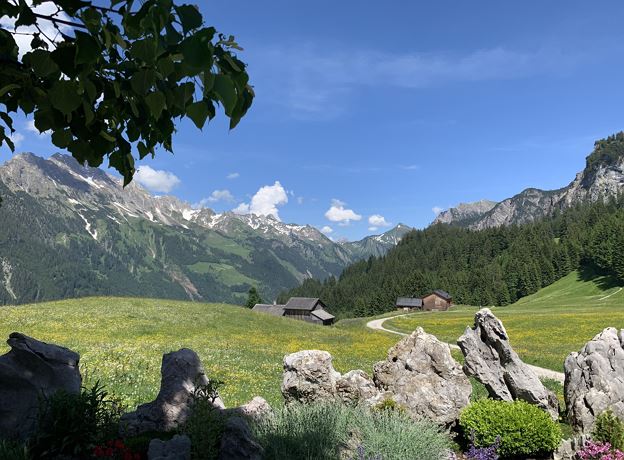 Die Klangwelt der Vögel in Sonntag-Stein