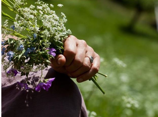 Wiesen- und Kräuterwanderung mit den Kräuterfrauen